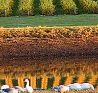 Pipers Brook Vineyard - VIC Tourism