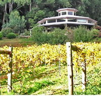 Peveril Vineyard/Beechy Berries - VIC Tourism