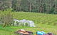 Peveril Vineyard/Beechy Berries - thumb 1