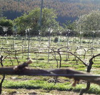 Three Willows Vineyard - VIC Tourism