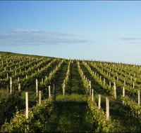 Delamere Vineyard - VIC Tourism