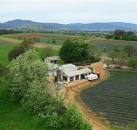 Schmidts Strawberry Winery - VIC Tourism