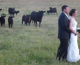 Athol Gardens - VIC Tourism 2