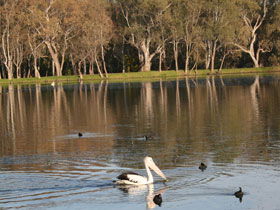 Drysdale Cheeses - VIC Tourism 7
