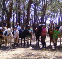 Bellarine Horse Riding Centre - VIC Tourism