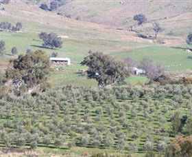Wymah Organic Olives And Lambs - VIC Tourism 0