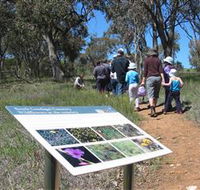 South Gundagai Woodlands Walk - VIC Tourism