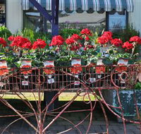 Van Loon's Nursery - VIC Tourism