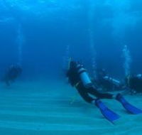 Man and Wife Rocks Dive Site - VIC Tourism
