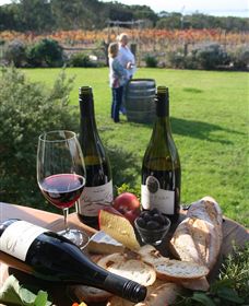 Kiltynane Wines - VIC Tourism 1