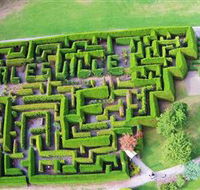 Hedgend Maze and Healesville Laser Sport - VIC Tourism