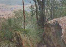 Burrowye VIC VIC Tourism
