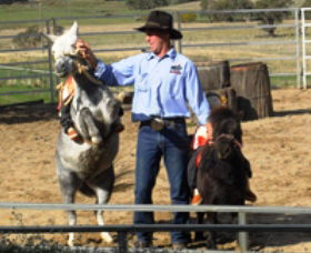 Boggy Creek Shows - VIC Tourism 2