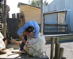 Boggy Creek Shows - VIC Tourism 4