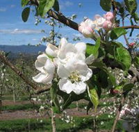 Mouat's Farm - VIC Tourism