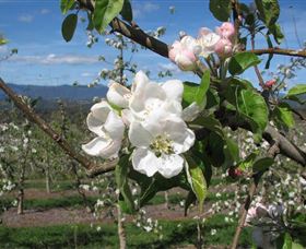Mouat's Farm - VIC Tourism 0