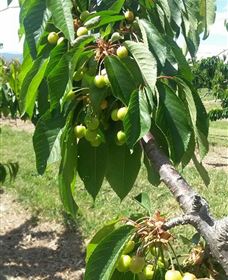 Mouat's Farm - VIC Tourism 2