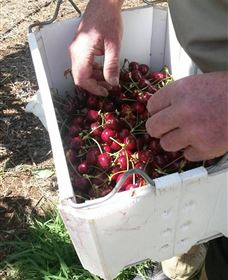 Mouat's Farm - VIC Tourism 3