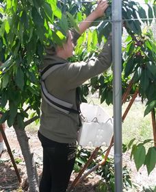 Mouat's Farm - VIC Tourism 4