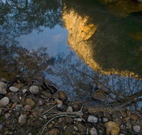 Abercrombie Karst Conservation Reserve - VIC Tourism