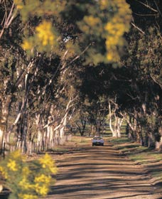 Albert Facey Heritage Trail - VIC Tourism 0
