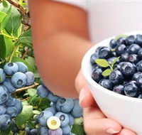 Jolly Berries - VIC Tourism