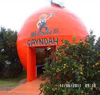 Gayndahs Big Orange - VIC Tourism