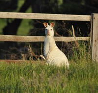 Panorama Garden Estate - VIC Tourism
