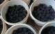 Gunnadoo Berries - thumb 3