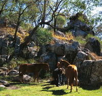 Coomba Falls - VIC Tourism