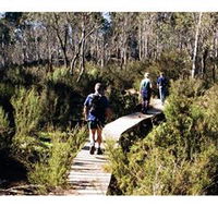 Hume and Hovell Walking Track - Henry Angel Trackhead - VIC Tourism