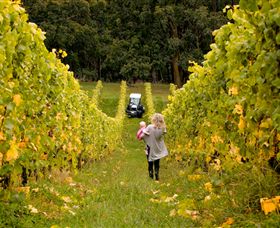 Polperro Winery - VIC Tourism 7