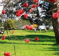 The Yass Golf Club - VIC Tourism
