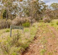 Old Mountain Road Walking Track - VIC Tourism