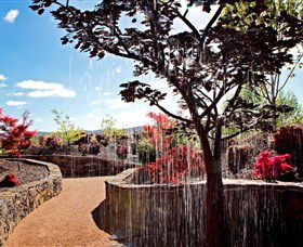 The Water Garden At Mayfield Garden - VIC Tourism 2