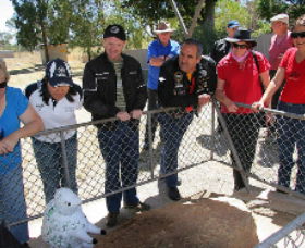 Fossil Rock - VIC Tourism 0