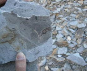 Fossil Rock - VIC Tourism 1