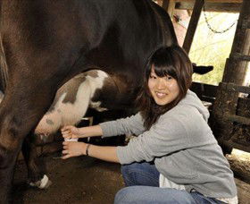 Warrook Farm - VIC Tourism 2