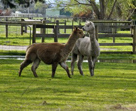 Warrook Farm - VIC Tourism 6