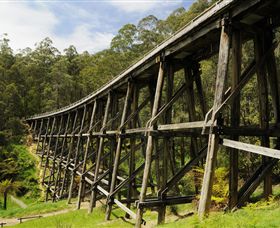 Noojee VIC VIC Tourism