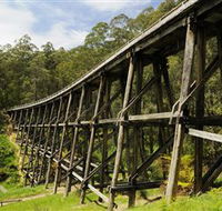 Noojee Trestle Bridge - VIC Tourism