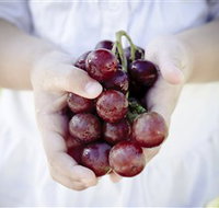 Granitevale  Estate Winery - VIC Tourism