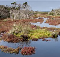 French Island National Park - VIC Tourism
