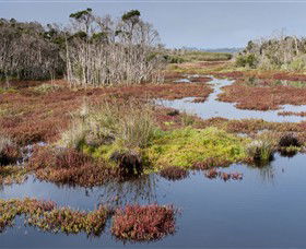 French Island National Park - VIC Tourism 0