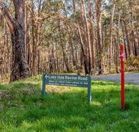 Lobs Hole Ravine 4WD Trail - VIC Tourism