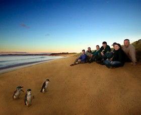 Phillip Island Nature Parks - VIC Tourism 7