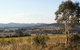 Yarrh Wines - thumb 0