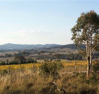 Yarrh Wines - VIC Tourism