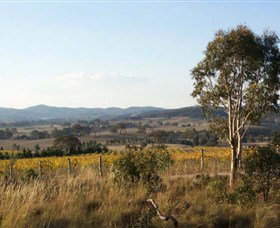Yarrh Wines - VIC Tourism 0