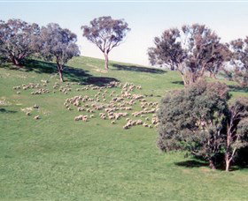 Burnelee Excursions On Horseback - VIC Tourism 2